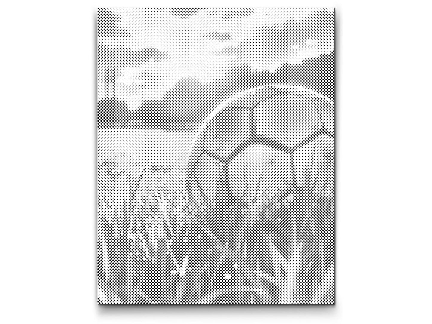  Fodbold ved Solnedgang