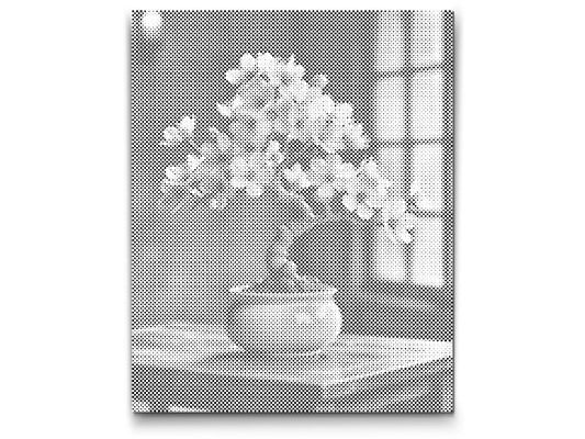 Mal-med-prikker -  Sakura bonsai