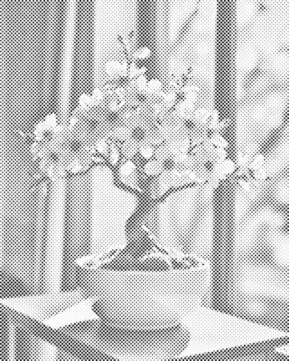 Mal-med-prikker -  Sakura bonsai ved vinduet