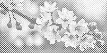 Mal-med-prikker -  Forårsblomster af sakura