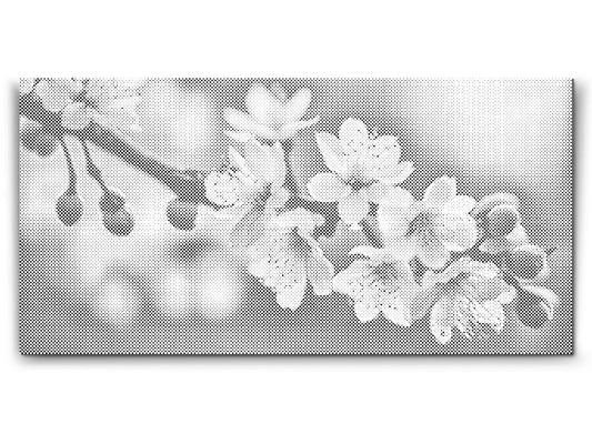 Mal-med-prikker -  Forårsblomster af sakura