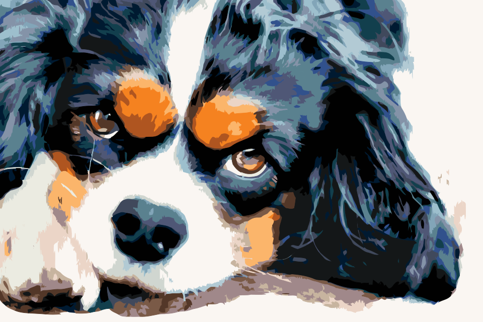 Paint by Numbers - Thougtful Dog