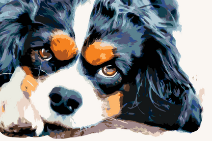 Paint by Numbers - Thougtful Dog