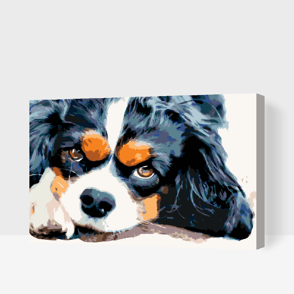 Paint by Numbers - Thougtful Dog