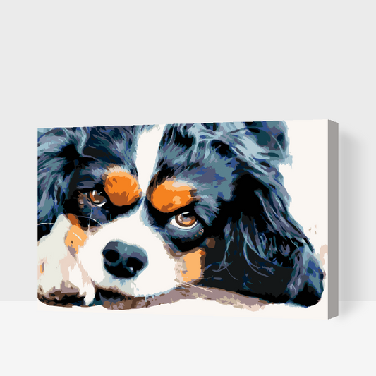 Paint by Numbers - Thougtful Dog