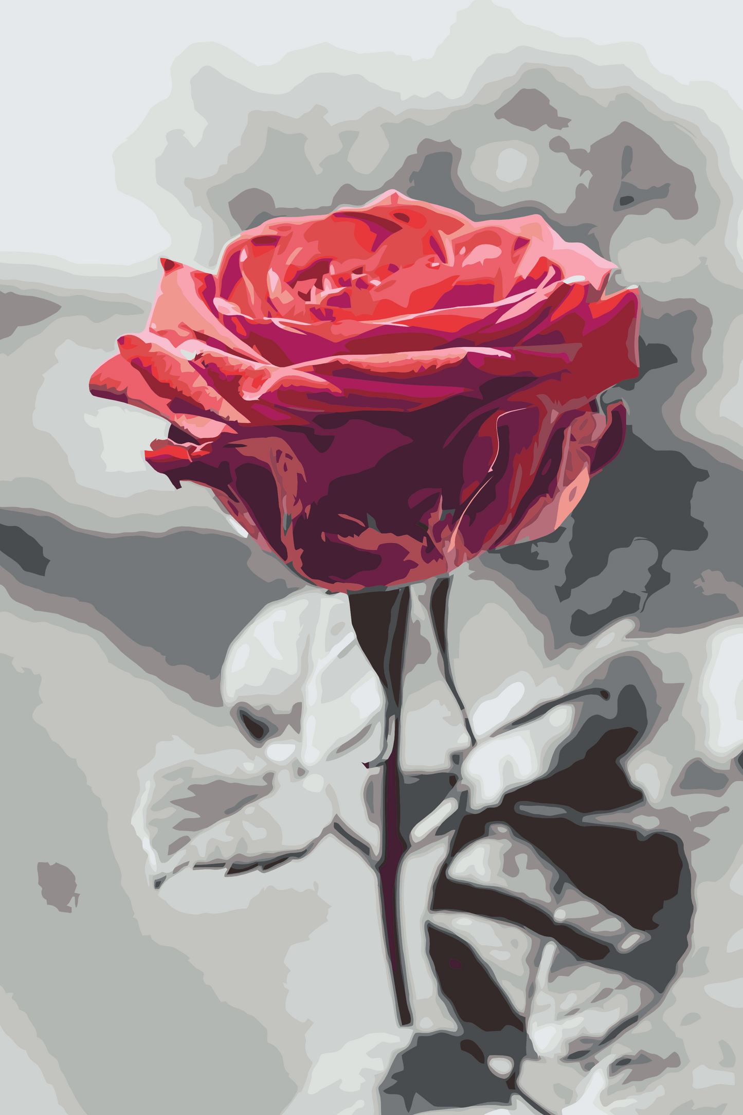 Paint by Numbers - Blomstrende Rose