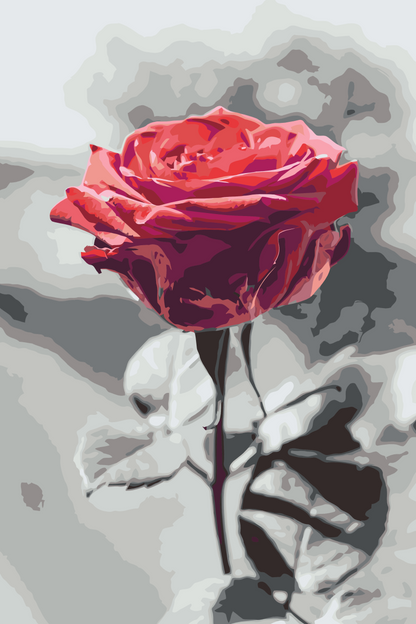 Paint by Numbers - Blomstrende Rose