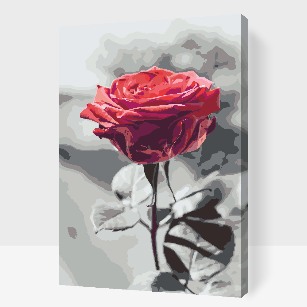 Paint by Numbers - Blomstrende Rose