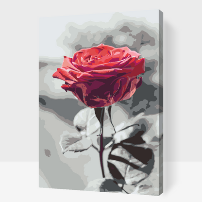 Paint by Numbers - Blomstrende Rose