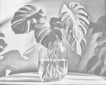 Mal-med-prikker -  Monstera i en vase