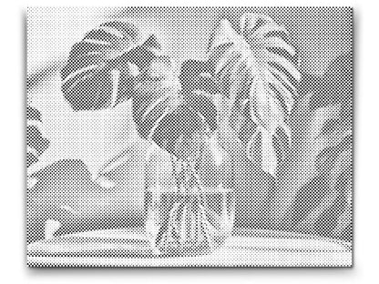 Mal-med-prikker -  Monstera i en vase