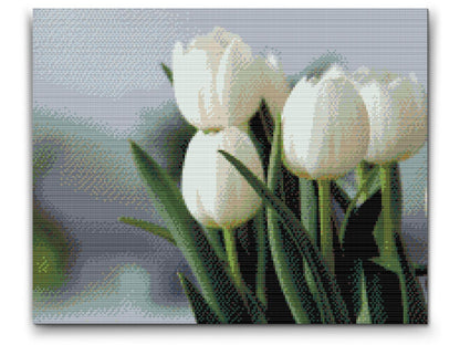 Diamond Painting - Hvide tulipaner