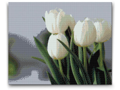 Diamond Painting - Hvide tulipaner