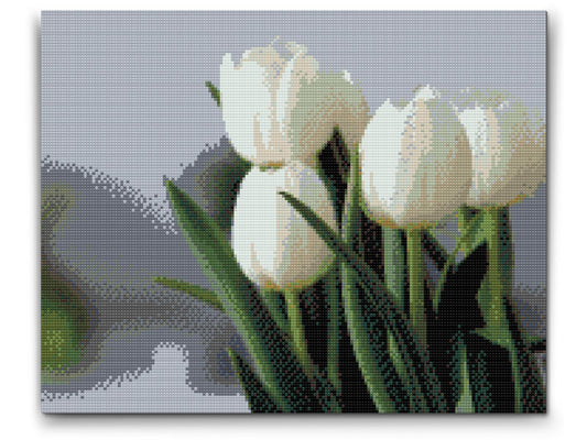 Diamond Painting - Hvide tulipaner
