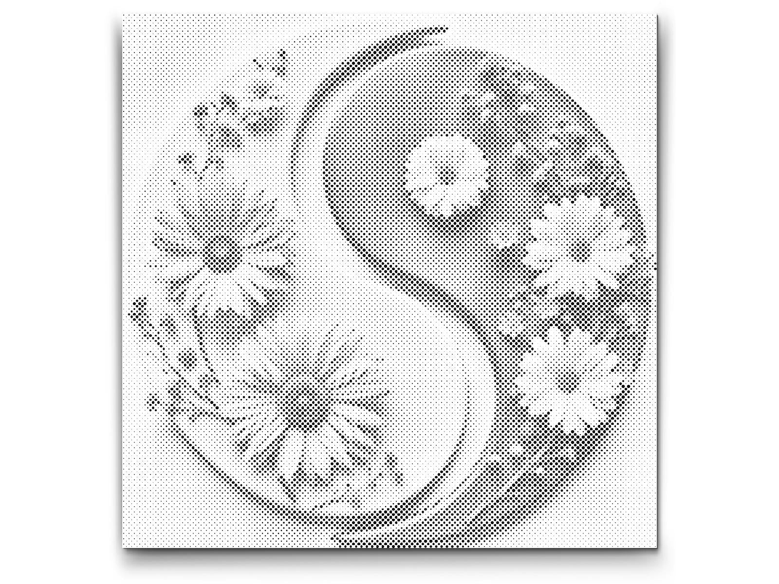 Mal-med-prikker -  Jin Jang Blomster