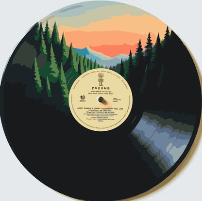Paint by Numbers - Vinylplade 1