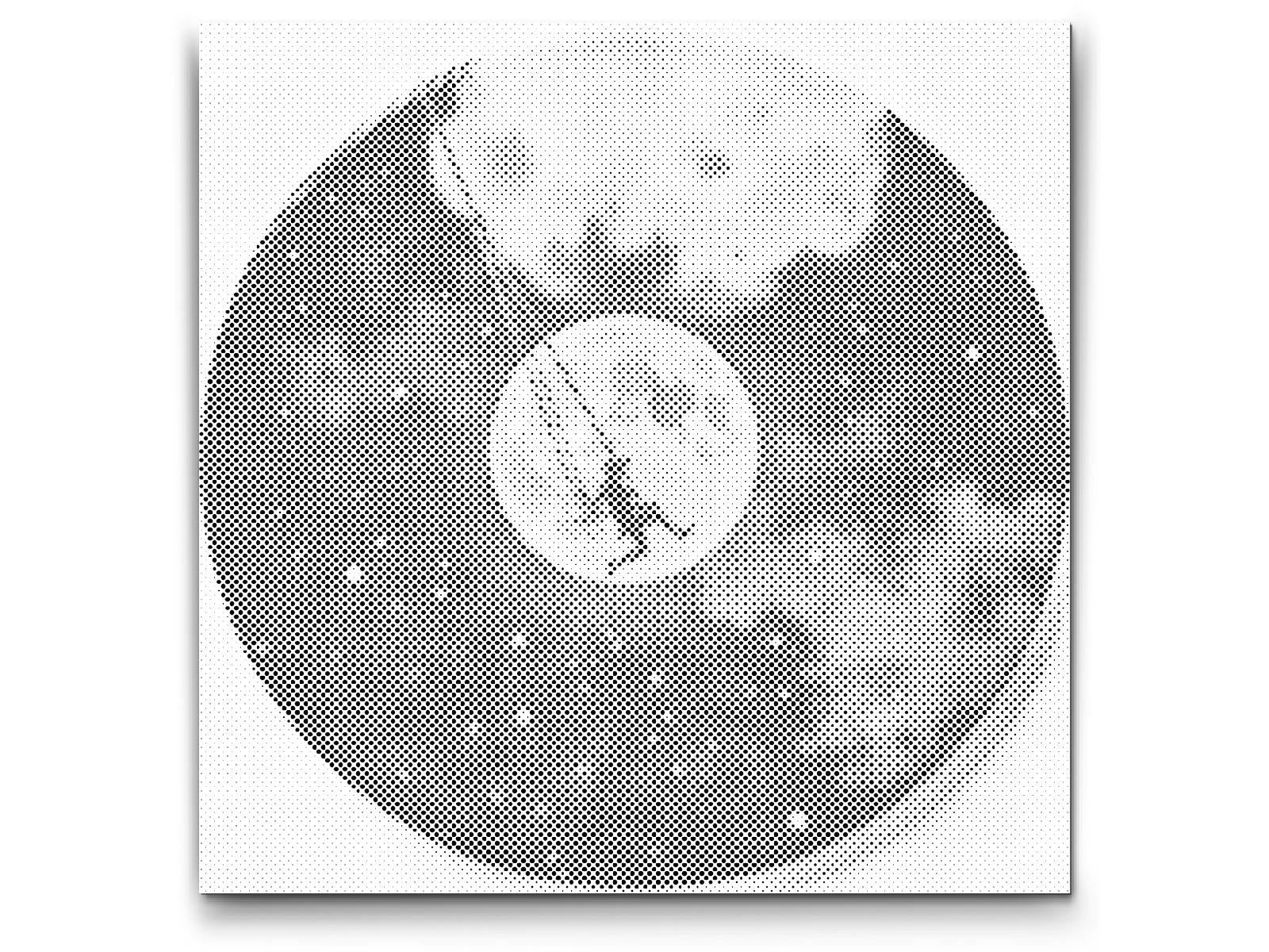 Mal-med-prikker -  Vinylplade – Swing by the moon