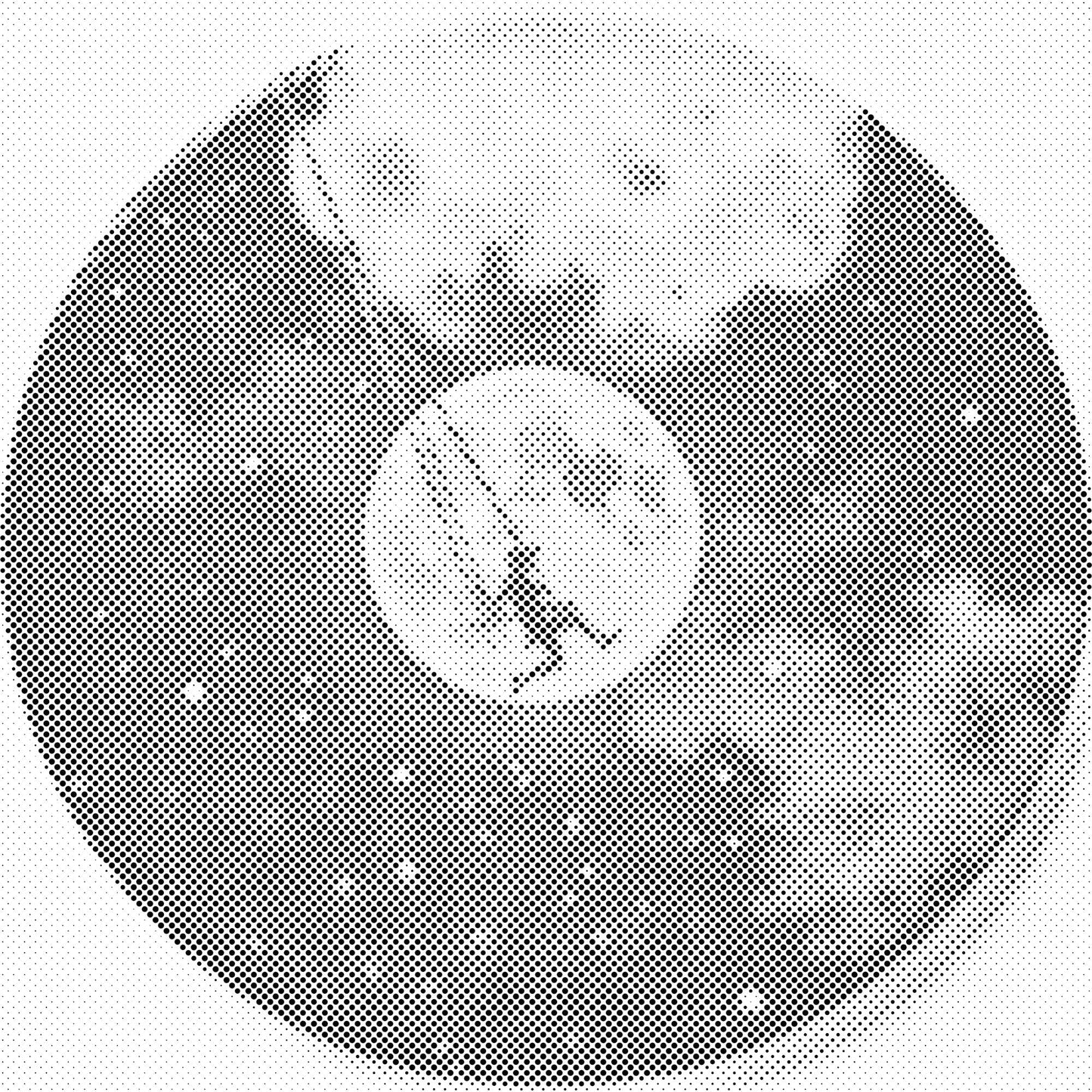 Mal-med-prikker -  Vinylplade – Swing by the moon
