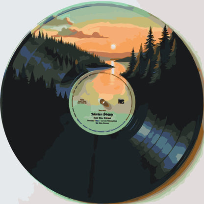 Paint by Numbers - Vinylplade 3