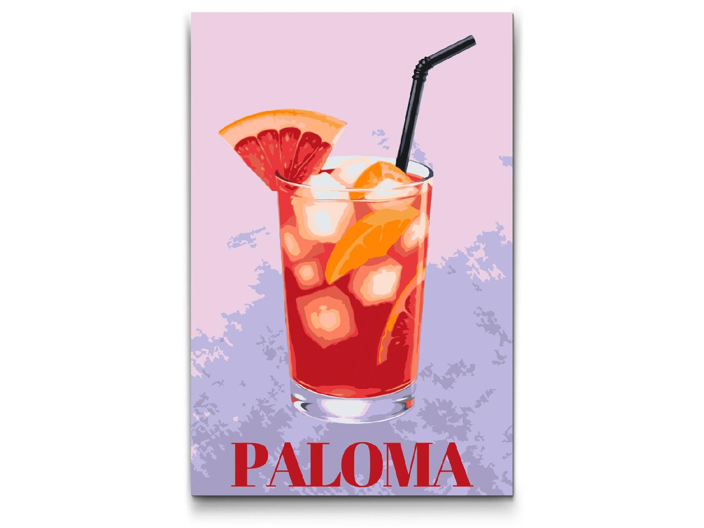 Paint by Numbers - Paloma