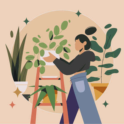 Paint by Numbers - Illustration - Stueplanter 1