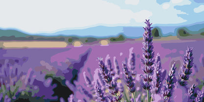 Paint by Numbers - Lavendelmark