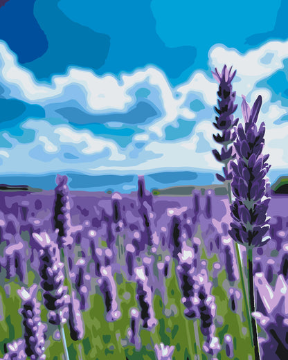 Paint by Numbers - Lavendel i marken