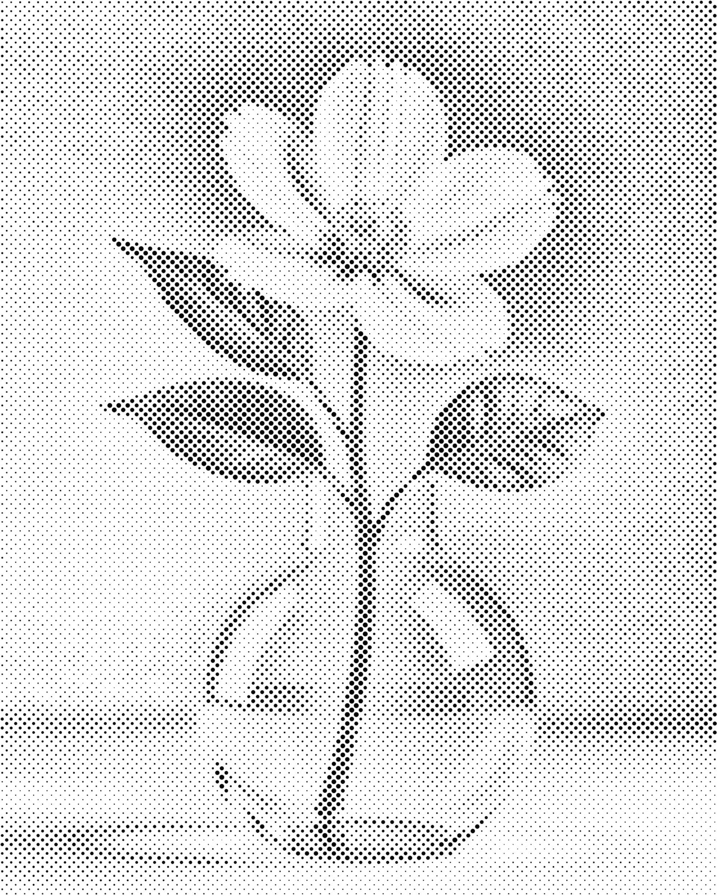 Mal-med-prikker -  Minimalistisk hvid blomst