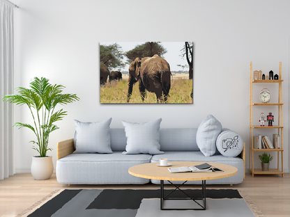 Paint by Numbers - Serengeti Nationalpark