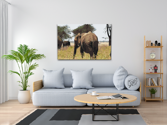 Paint by Numbers - Serengeti Nationalpark