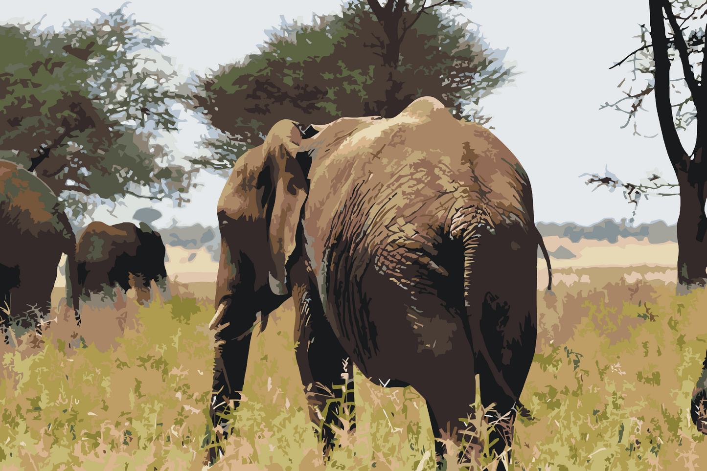 Paint by Numbers - Serengeti Nationalpark