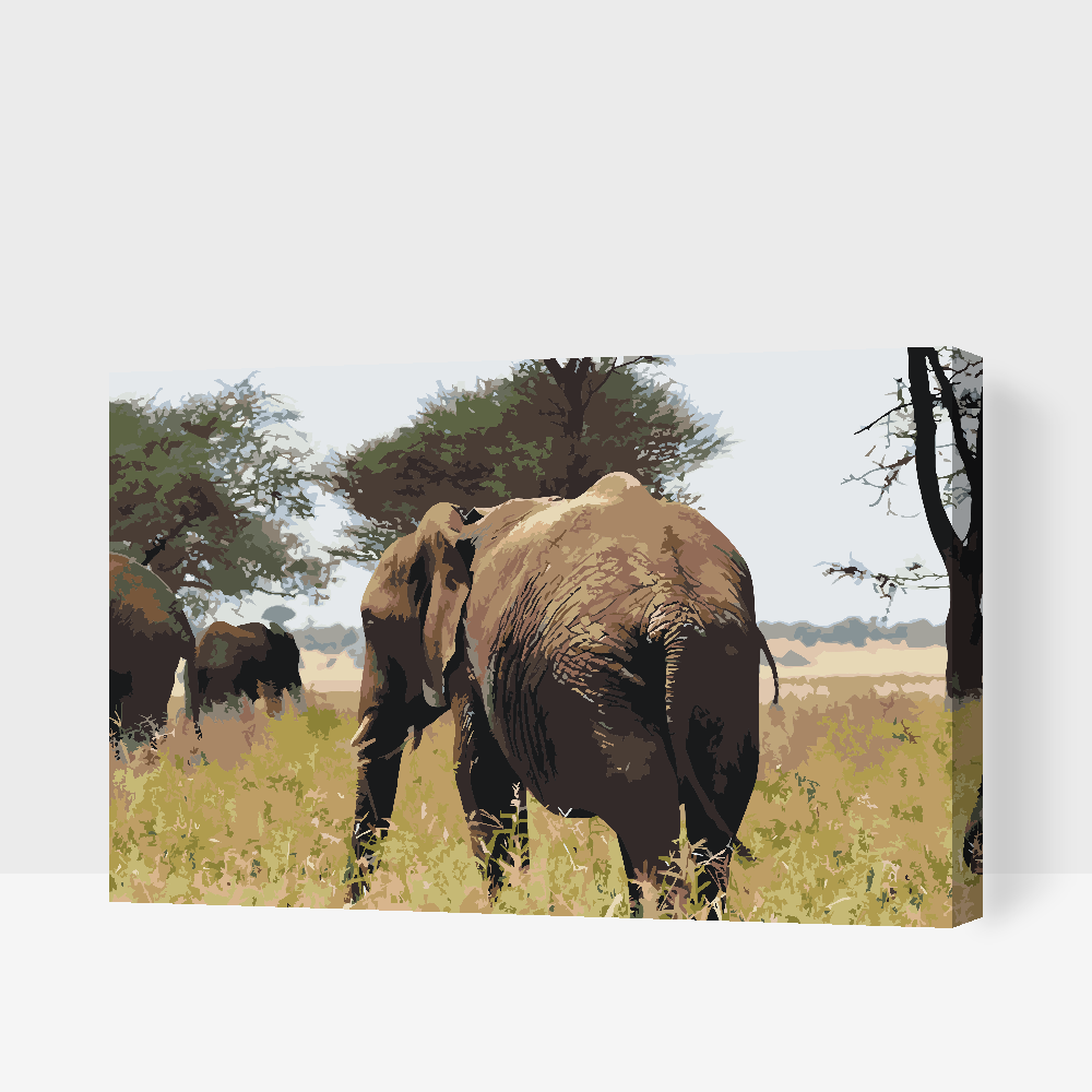 Paint by Numbers - Serengeti Nationalpark