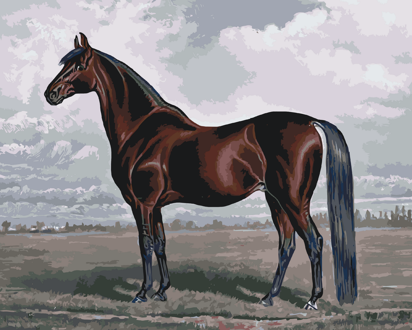 Paint by Numbers - Majestic Horse