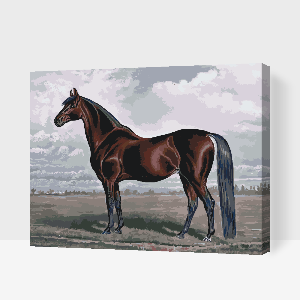 Paint by Numbers - Majestic Horse
