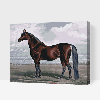 Paint by Numbers - Majestic Horse