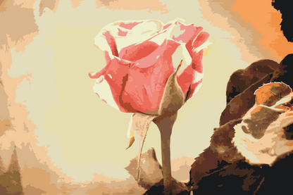 Paint by Numbers - Vintage Rose 3
