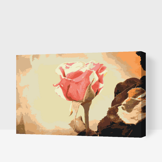 Paint by Numbers - Vintage Rose 3