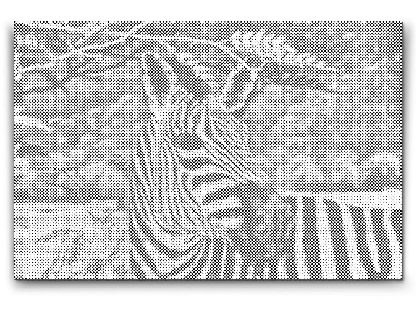 Mal-med-prikker -  Vild Zebra