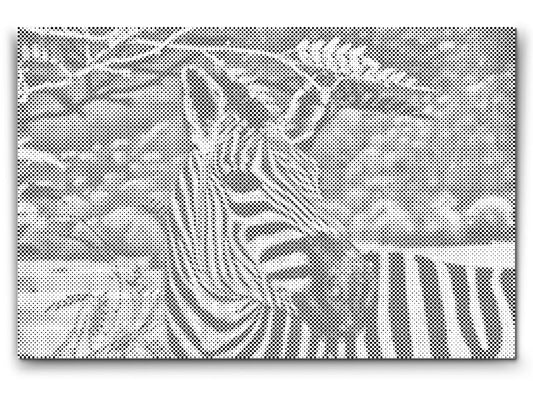 Mal-med-prikker -  Vild Zebra