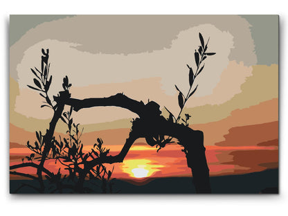 Paint by Numbers - Oliventræ ved solnedgang