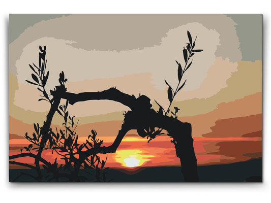 Paint by Numbers - Oliventræ ved solnedgang