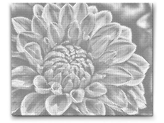 Mal-med-prikker -  Rød Dahlia