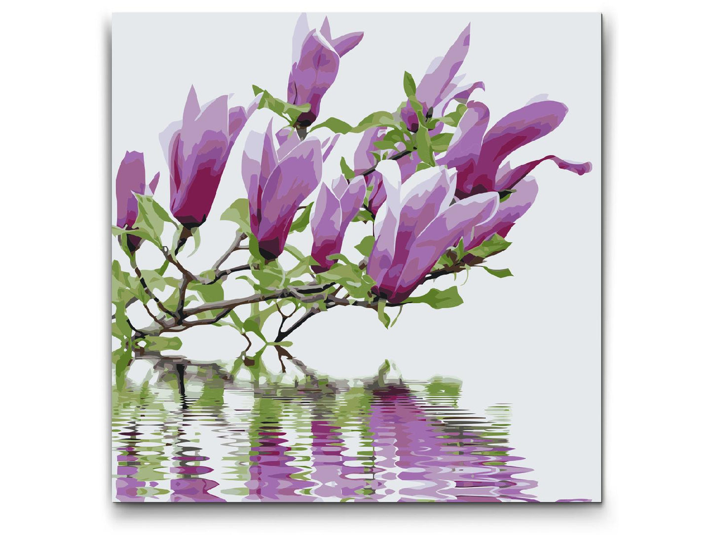 Paint by Numbers - Magnolia i vand