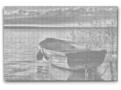 Mal-med-prikker -  Balaton, båd – Ungarn