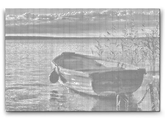 Mal-med-prikker -  Balaton, båd – Ungarn