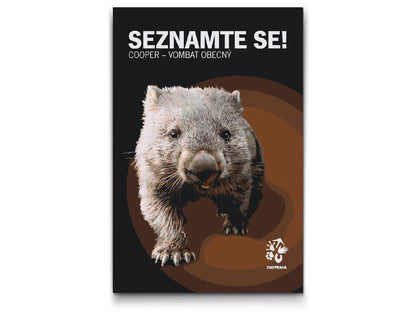 Paint by Numbers - ZOO Praha Cooper