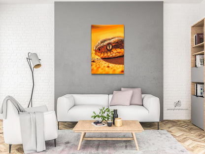 Diamond Painting - Slangeøje