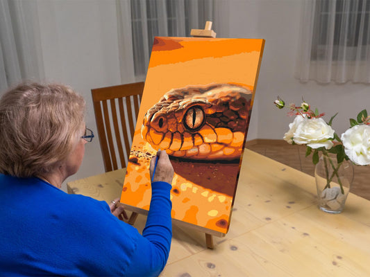 Paint by Numbers - Slangeøje
