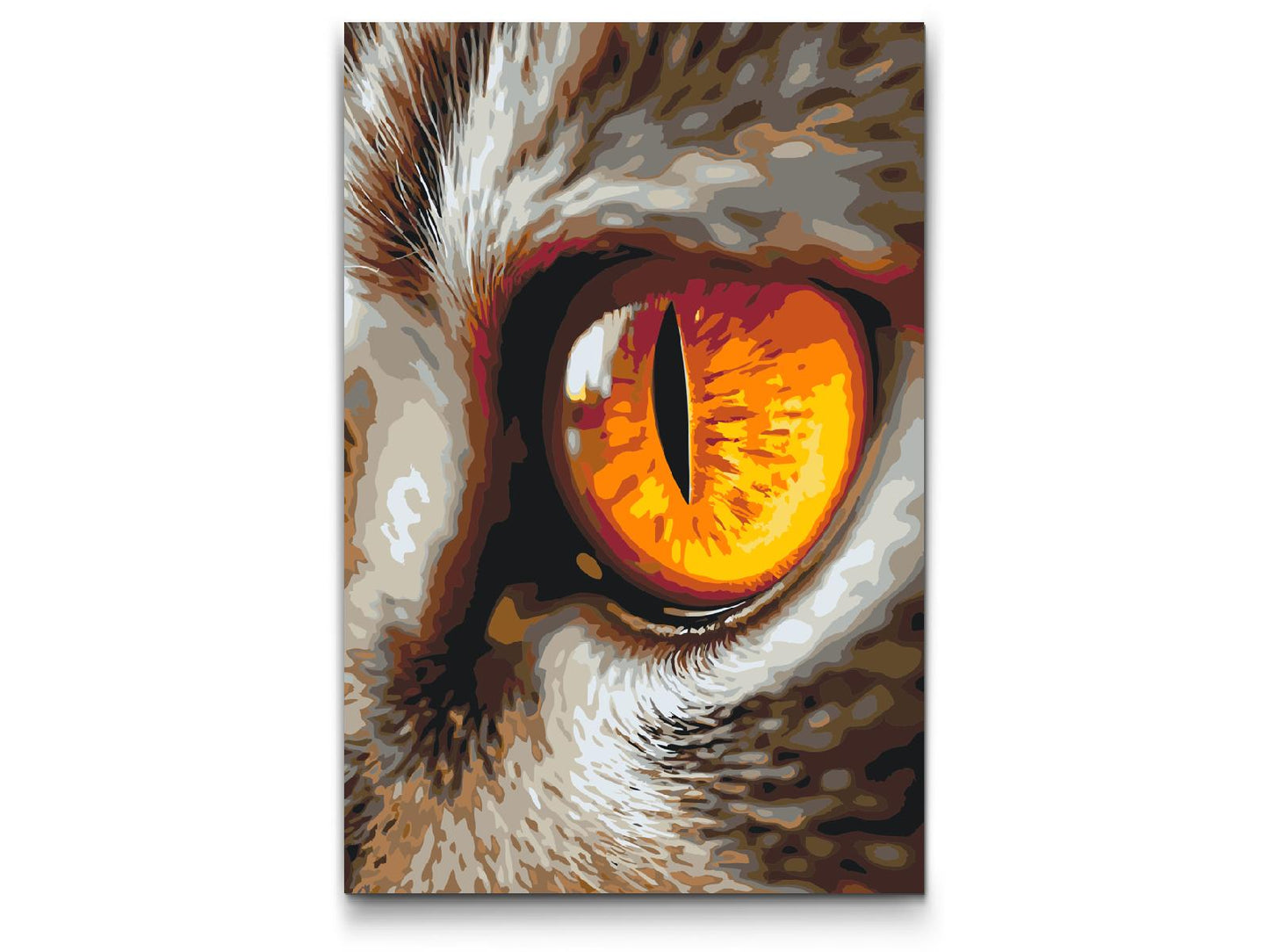 Paint by Numbers - Kat's øje