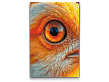 Diamond Painting - Fugleøje